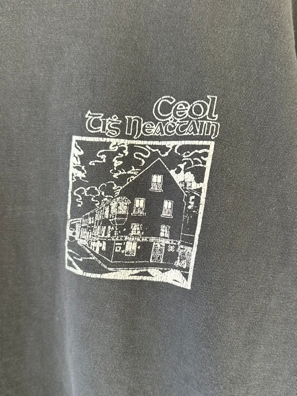 2000's faded Ceol Tis Neachtain Band Tee (L)