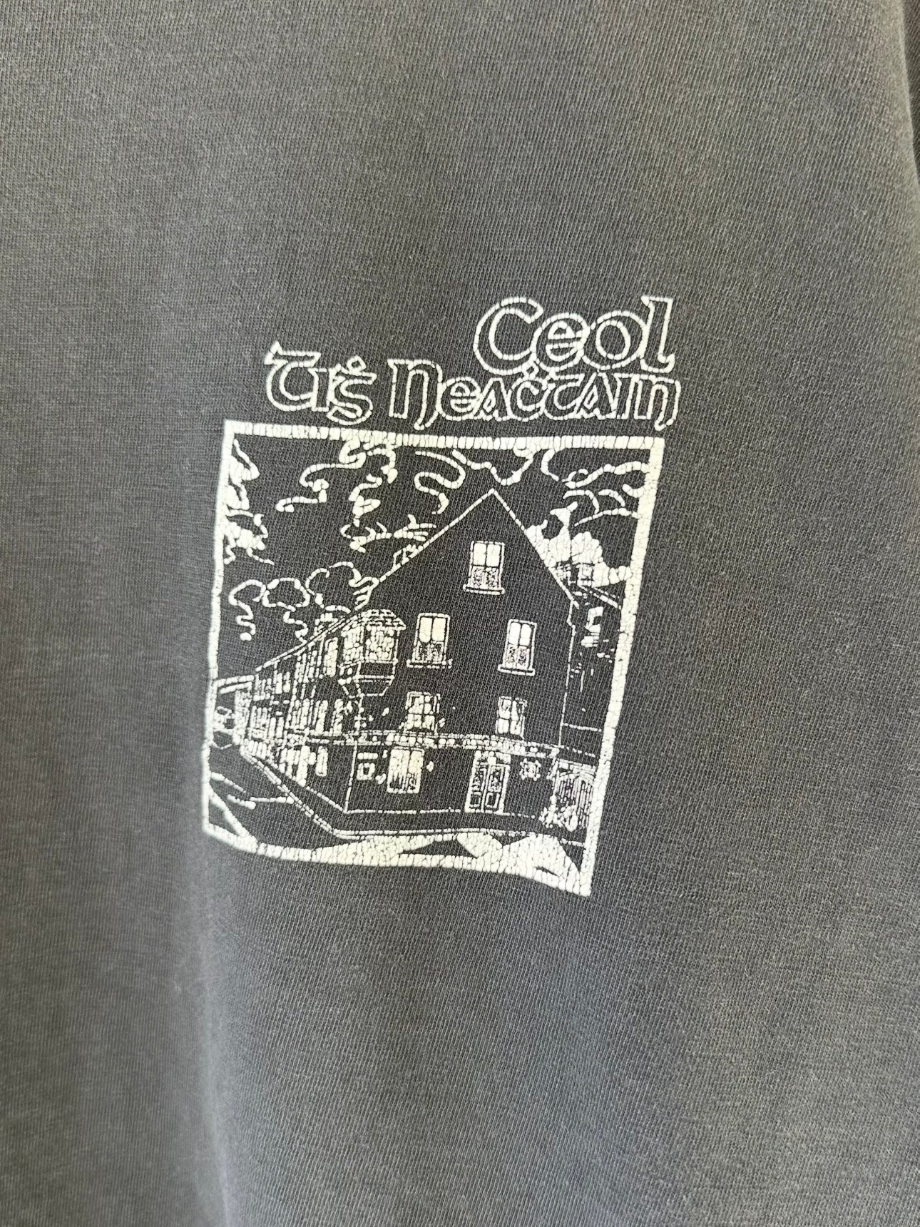 2000's faded Ceol Tis Neachtain Band Tee (L)
